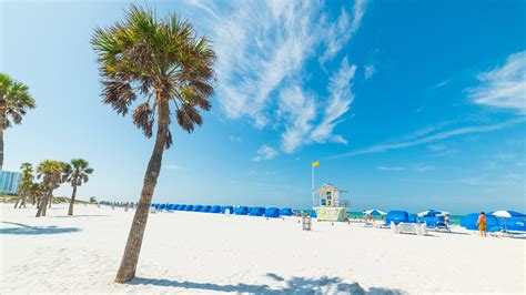 Tripadvisors Best Beaches In The Us Tampa Bay Area Beaches