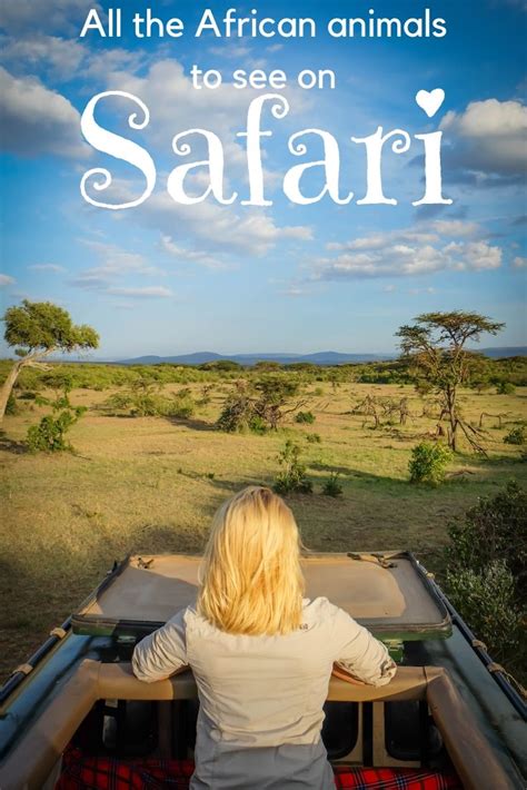 41 Awesome Safari Animals And Where To Find Them African Travel