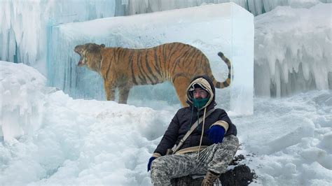 10 Strangest Animals That Were Found Frozen In Ice Youtube