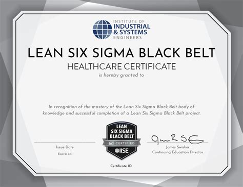Lean Six Sigma Black Belt For Healthcare Institute Of Industrial And