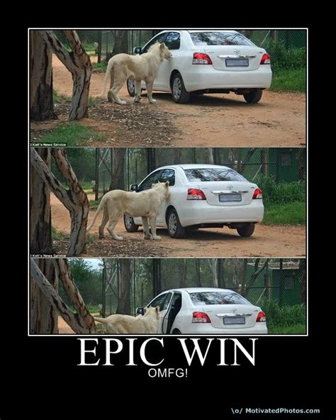 World Wildness Web Epic Win