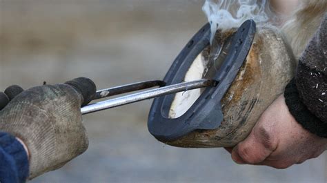 Shoeing And Other Forms Of Hoof Protection