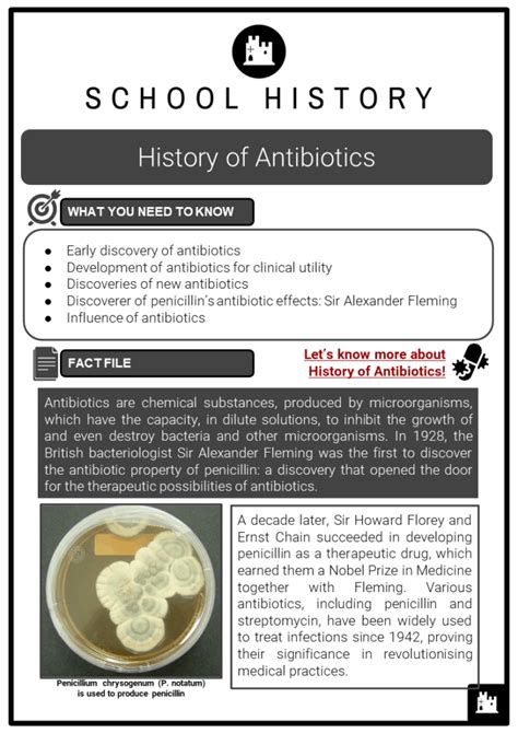 History Of Antibiotics Facts Worksheets Early Discovery And Development