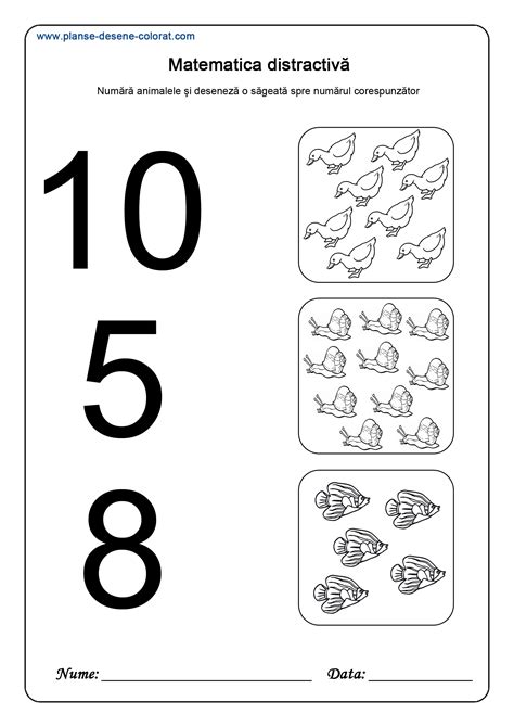 Matematica Distractiva Planse De Colorat Si Educative Desene De