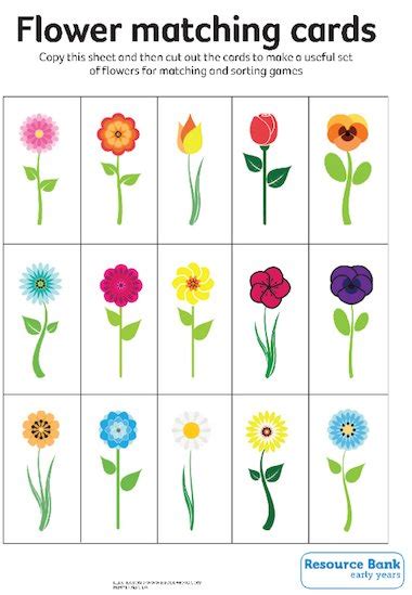Flower Matching Cards Early Years Teaching Resource Scholastic