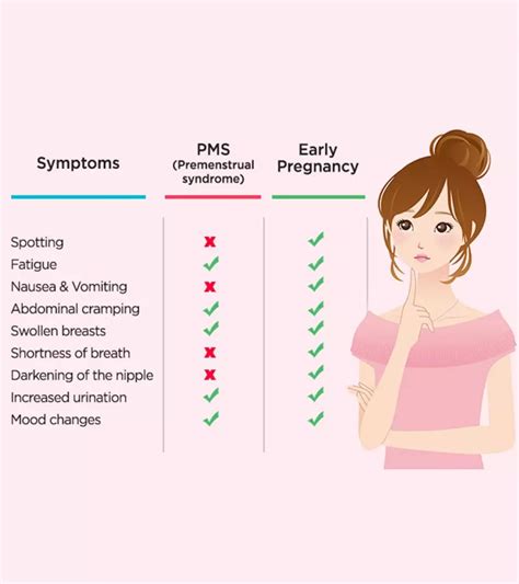 Pms Vs Pregnancy Symptoms How Are They Different Arto