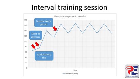 Interval Training Interpreting A Heart Rate Graph Youtube