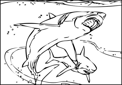 Download and print this tiger shark coloring pages 46721 for the cost of nothing, only at everfreecoloring.com. Shark Coloring Pages For Kids at GetColorings.com | Free ...