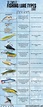 The Ultimate Fishing Lure Types Chart - Fish and Game Report