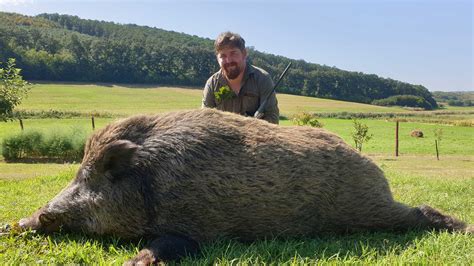 High Seat And Stalking Wild Boar Hunting In Hungary Hunting In Hungary