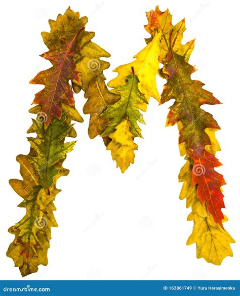 Text Made By Autumn Leaves English Alphabet Stock Image Image Of