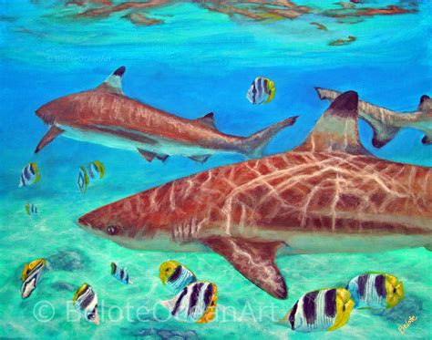 Bora Bora Lagoon Sharks Sea Life Art Business Underwater Paintings By