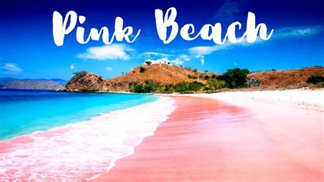 Top 10 Best Pink Beaches In The World 2020 Youtube