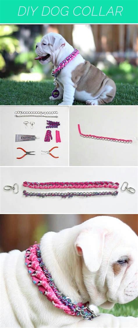 Pin By Amy Bamburg On Diseños Caninos Diy Dog Collar Diy Dog Stuff