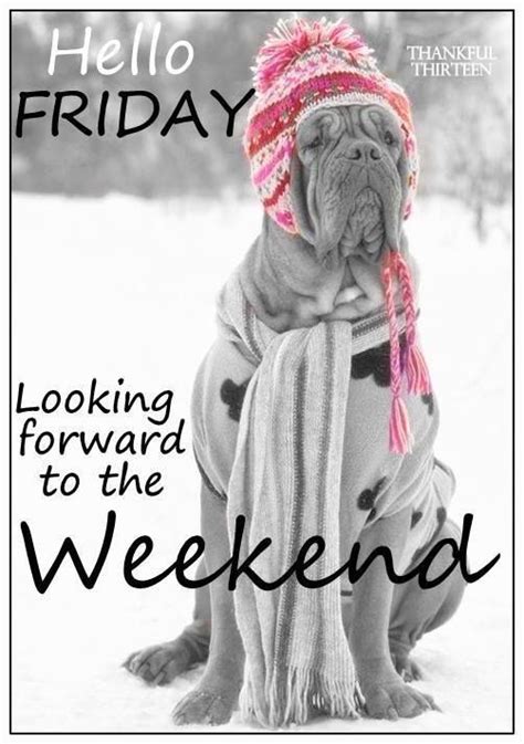 Hello Friday Looking Forward To The Weekend Quotes Friday Happy Friday