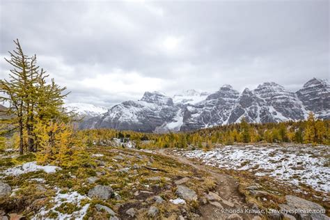 Larch Valley Hike Banff National Parks Most Beautiful Autumn Hike