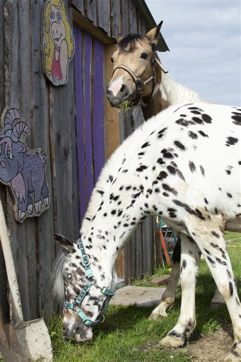 Psd bank muenchen eg entity featured on fitch ratings. Besuch beim Krümelhof in Augsburg - Blog - PSD Bank München