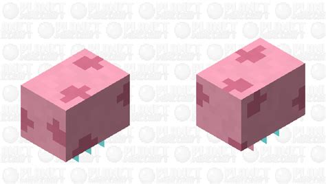 We did not find results for: Jellyfish (Angry/Electric) Minecraft Mob Skin