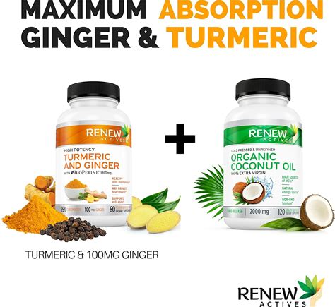 ginger turmeric curcumin supplement capsules organic all natural antioxidant supplements with
