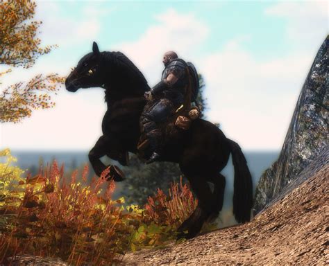 Custom Horse And Dragon Riding Soundtrack At Skyrim Nexus Mods And