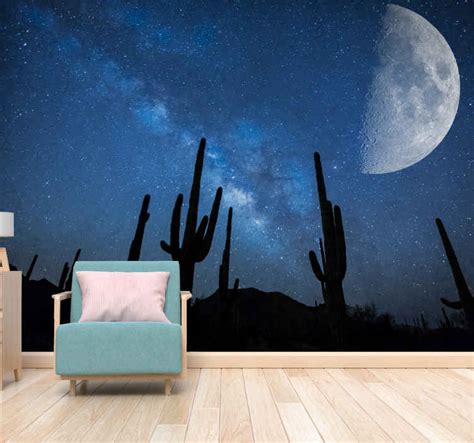 Desert Moon And Cactus Desert Mural Wallpaper Tenstickers