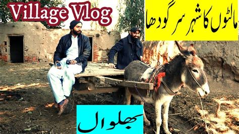 A Trip To Our Village Sargodha Bhalwal City Of Oranges Part 1