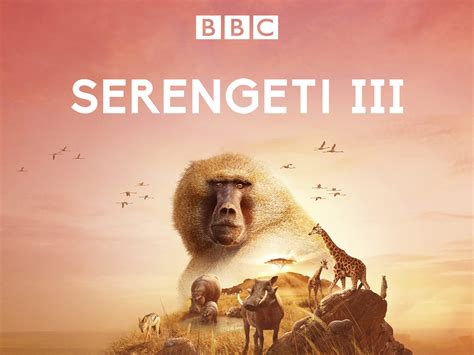 watch serengeti series 3 prime video