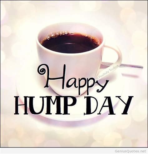 happy hump day memes images humor and funny pics