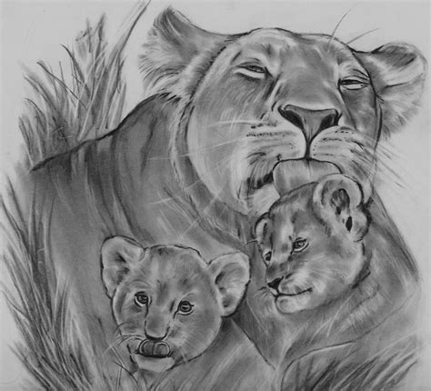 Lioness And Her Cubs Drawing By Barb Baker