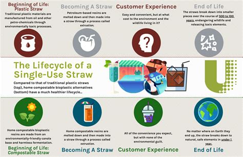 Lifecycle Of Home Compostable Straw Vs Plastic Straw
