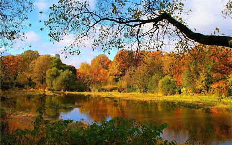 Wallpaper Beautiful Autumn Forest River Landscape