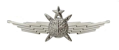 Air Force Badge Senior Cyberspace Operator Regulation Size