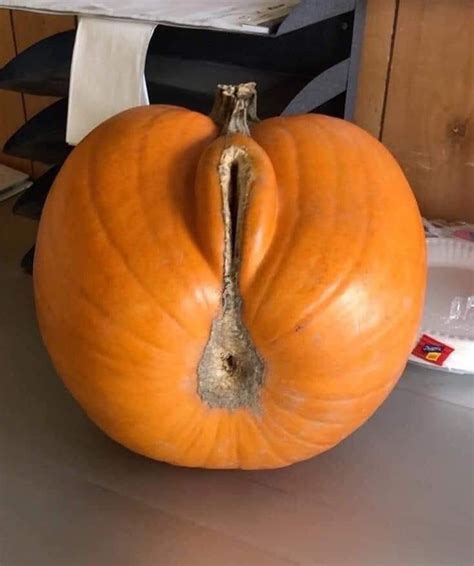 Sexy Pumpkin MyConfinedSpace