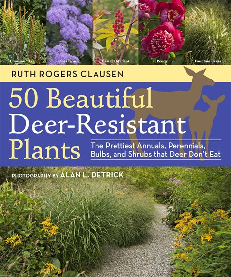 Deer Resistant Plants For Your Garden Deer Resistant Landscaping
