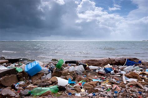 River Pollution Major Contributor Of Plastic Waste To Oceans