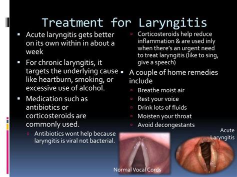 Ppt Laryngitis And Epiglottitis Powerpoint Presentation Id2062887