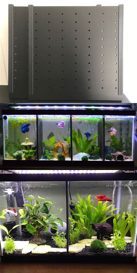 Contemporary Fish Tanks