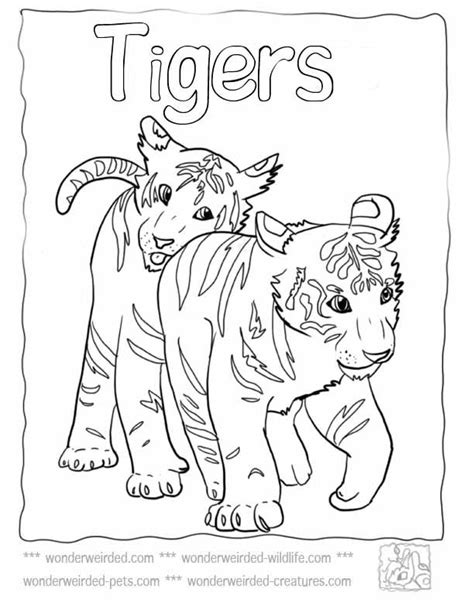 Tiger Coloring Pages Free Coloring Home