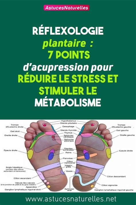 Réflexologie Plantaire 7 Points Dacupression Pour Réduire Le Stress Et Stimuler Le
