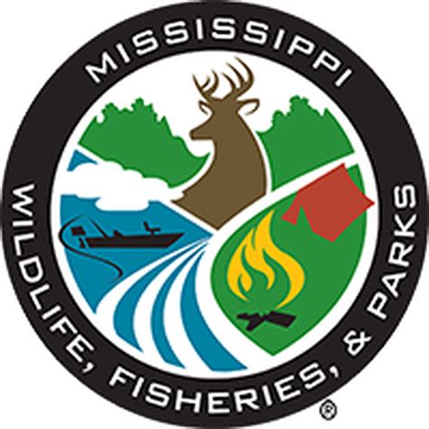 Ms Dept Of Wildlife Fisheries And Parks Give Deer Hunting