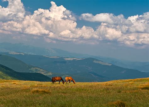Tourists are unlikely to be the intended targets of violence, unless they travel near the front lines of the war. Picturesque landscapes of Zakarpattia region · Ukraine travel blog