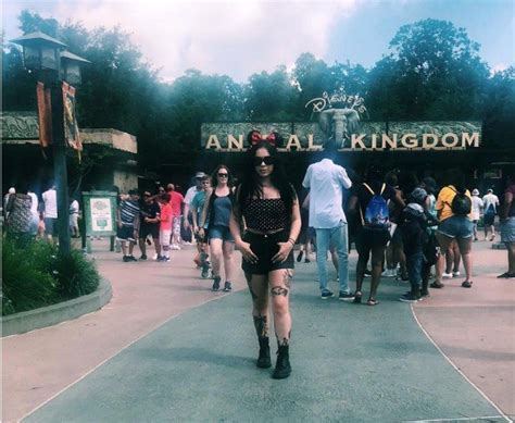 Disney Tourists Flock To Animal Kingdom Sign For X Rated Reason Daily