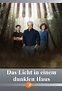 Das Licht in einem dunklen Haus (2022) - Posters — The Movie Database ...