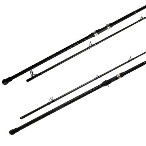 Saltwater Surf Casting Rods Save Up To Ilcascinone Com