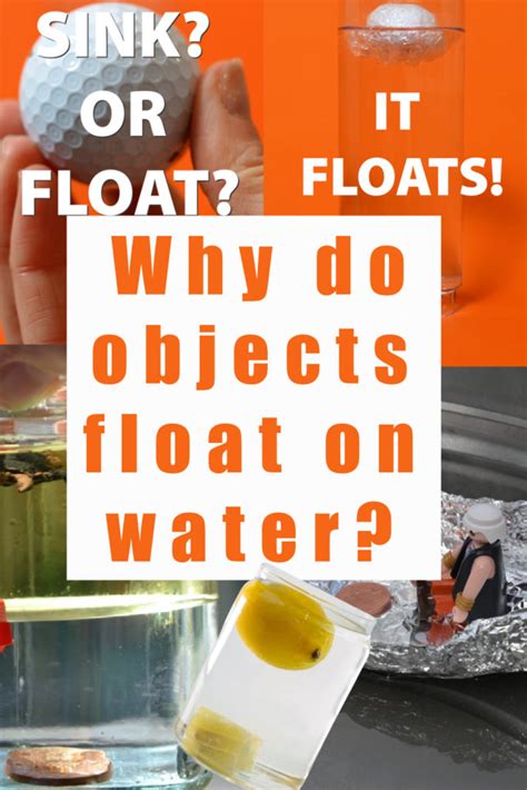 Why Do Things Float In Water Laptrinhx News