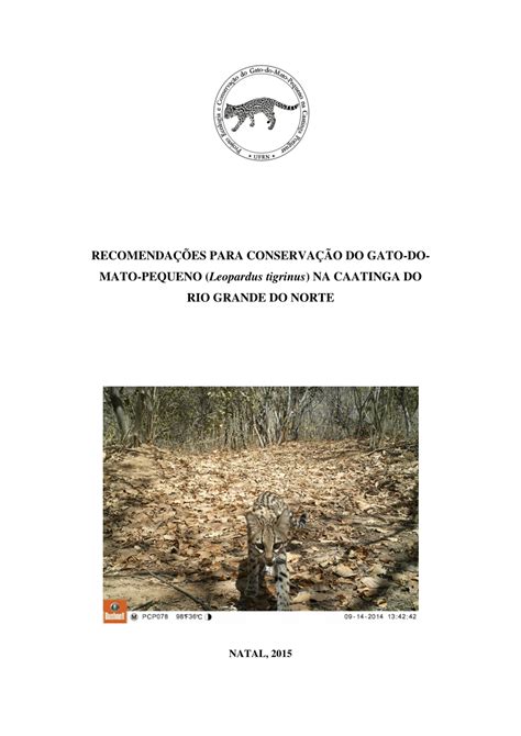 PDF RECOMENDAÇÕES PARA CONSERVAÇÃO DO GATO DOMATO PEQUENO Leopardus