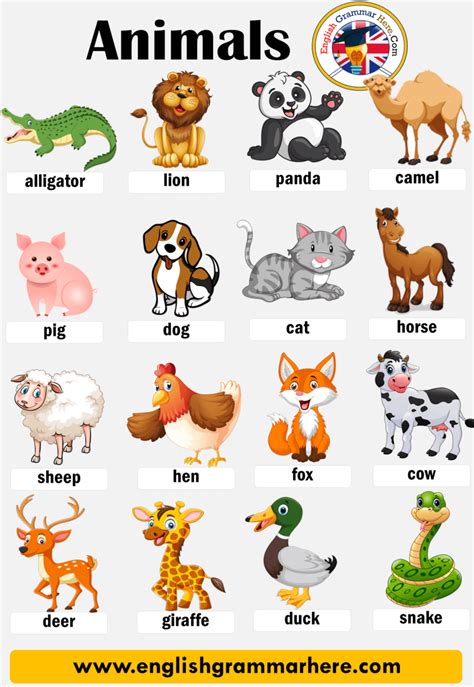 Farm Animals List For Kindergarten