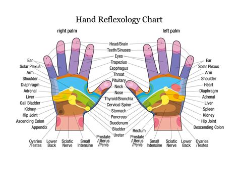 Free Printable Hand Reflexology Templates Charts Maps Pdf