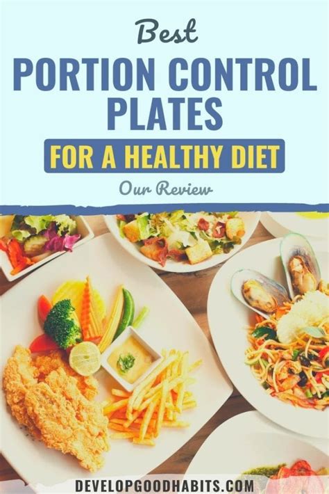 8 Best Portion Control Plates For A Healthy Diet 2024 Review