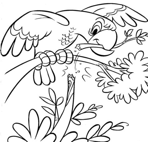 coloring  blog archive animals coloring pages